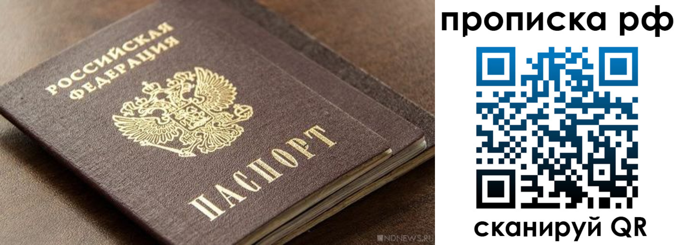 временная регистрация гарантия в Лыткарино